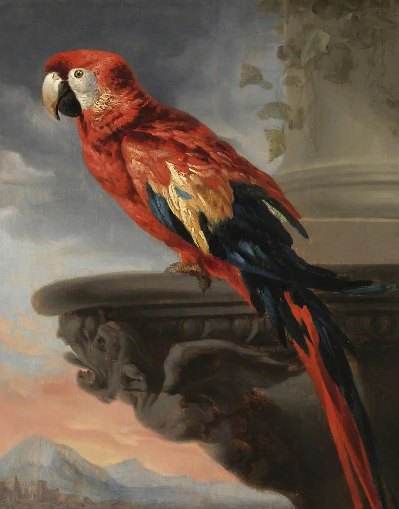 Papegøje - Peter Paul Rubens