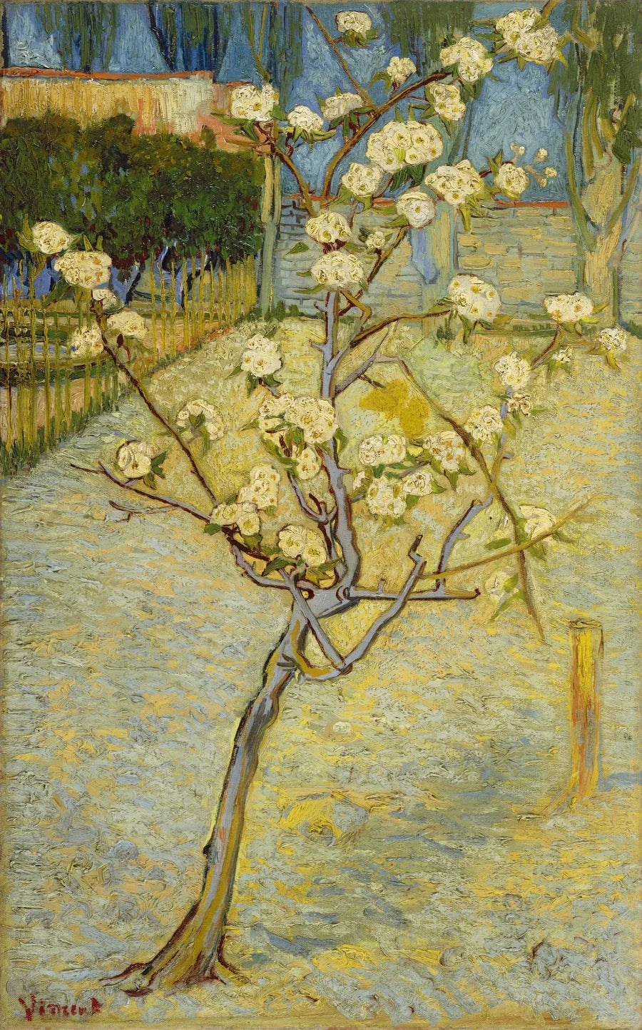 Lille blomstrende pæretræ - Vincent van Gogh