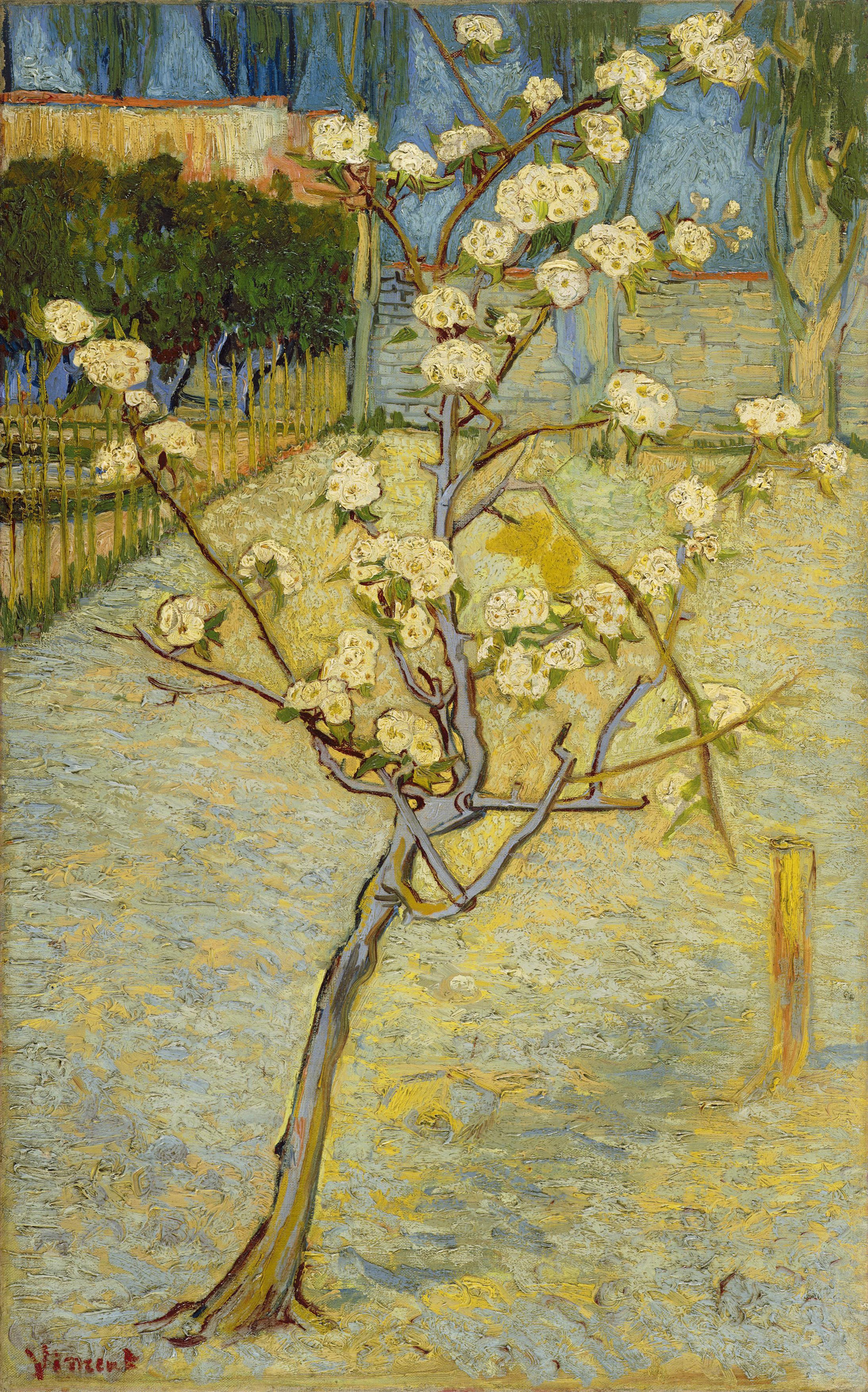 Reproduction du tableau « Petit poirier en fleurs - Vincent van Gogh » par Alpha Reproduction en peinture à l’huile