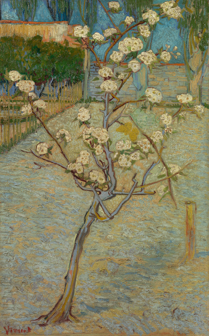 Lille blomstrende pæretræ - Vincent van Gogh