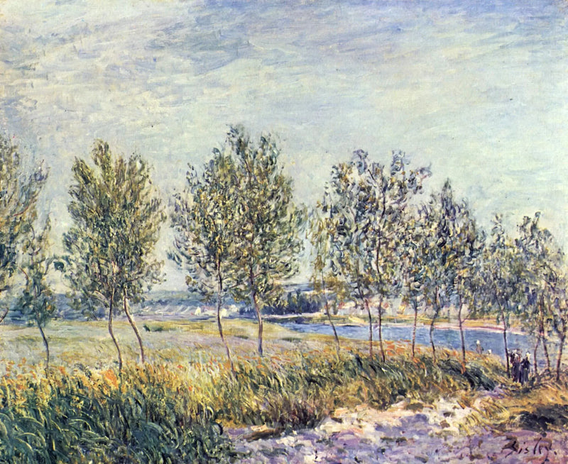 Poppeltræer ved en flod - Alfred Sisley