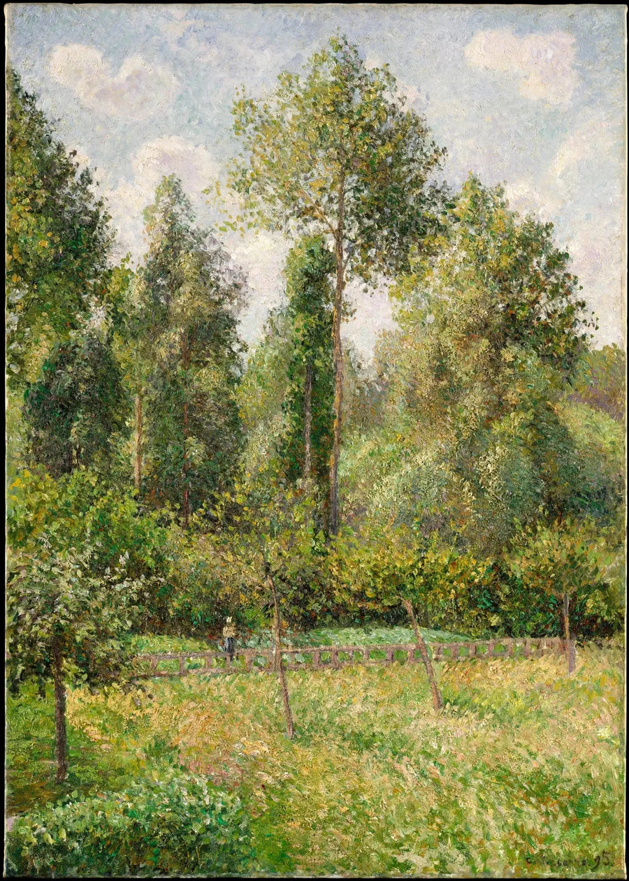 Popler, Éragny - Camille Pissarro