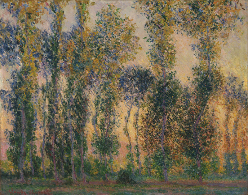 Les Peupliers i Giverny W1156 - Claude Monet