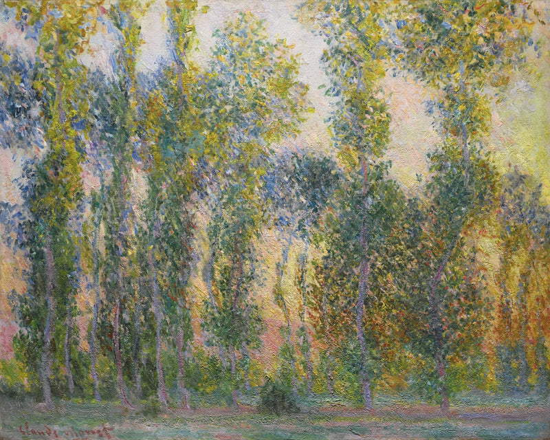 Popler i Giverny W1156 - Claude Monet