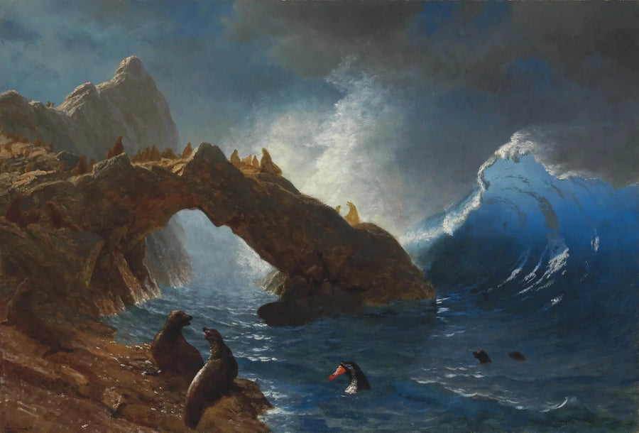 Sæler på klipperne - Albert Bierstadt
