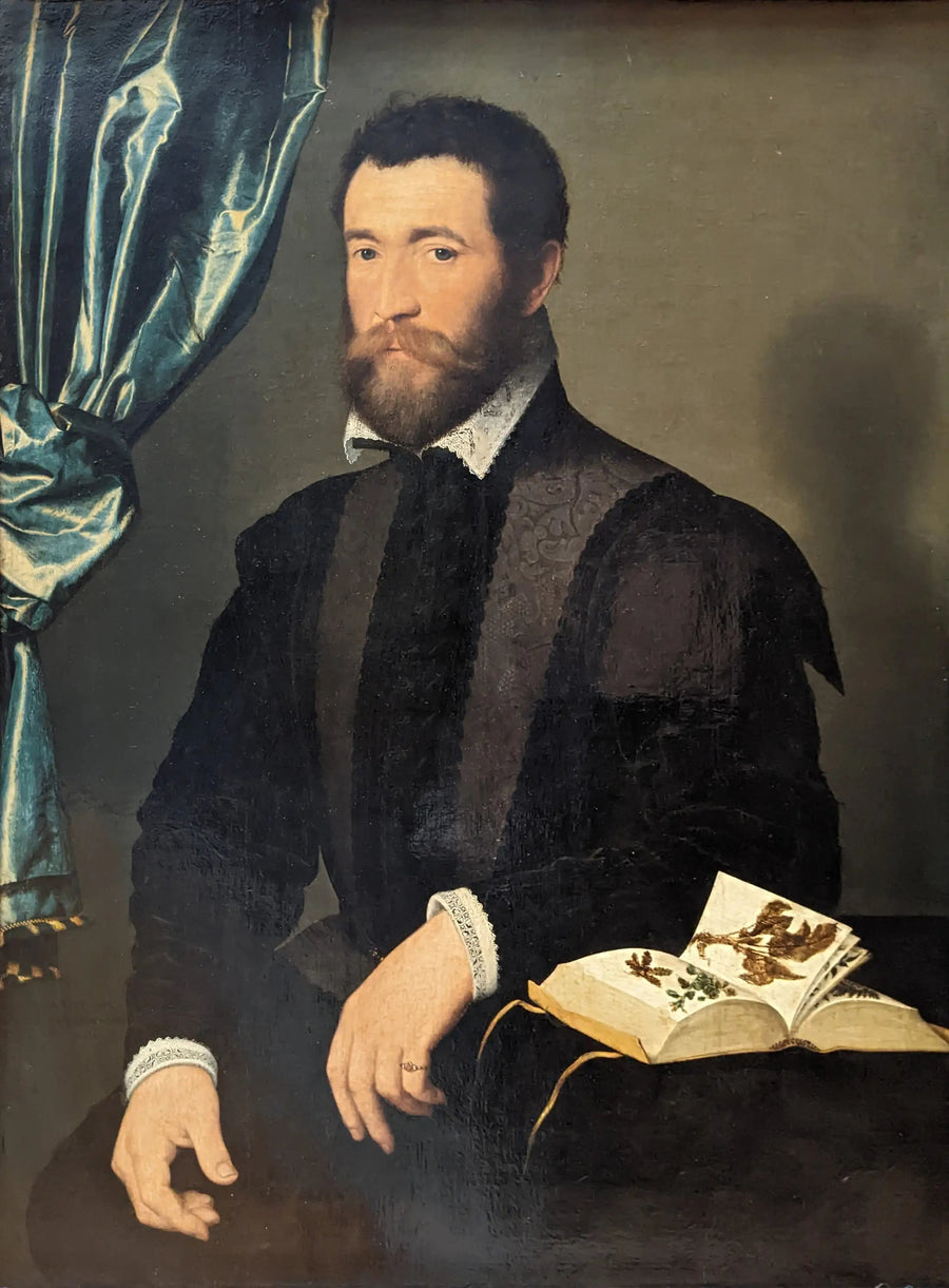 Pierre Quthe, apotekeren - François Clouet
