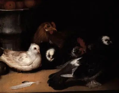 Due - og fjerkræ - Francisco de Goya