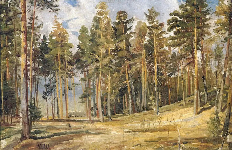 Pins. Solrig dag - Ivan Chichkine