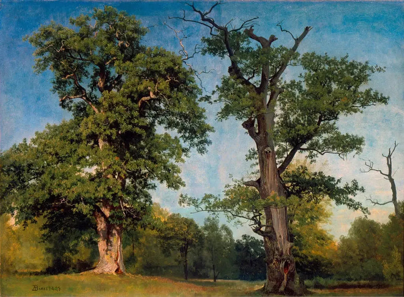 Pionniers des bois, Californie - Albert Bierstadt
