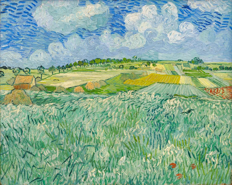 Slette nær Auvers - Vincent van Gogh