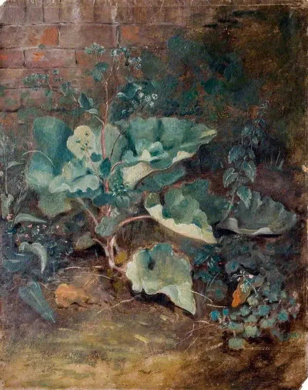 Planter, der vokser nær en væg - John Constable