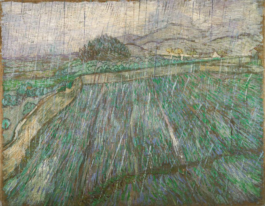 Fugtig mark under regnen - Vincent van Gogh