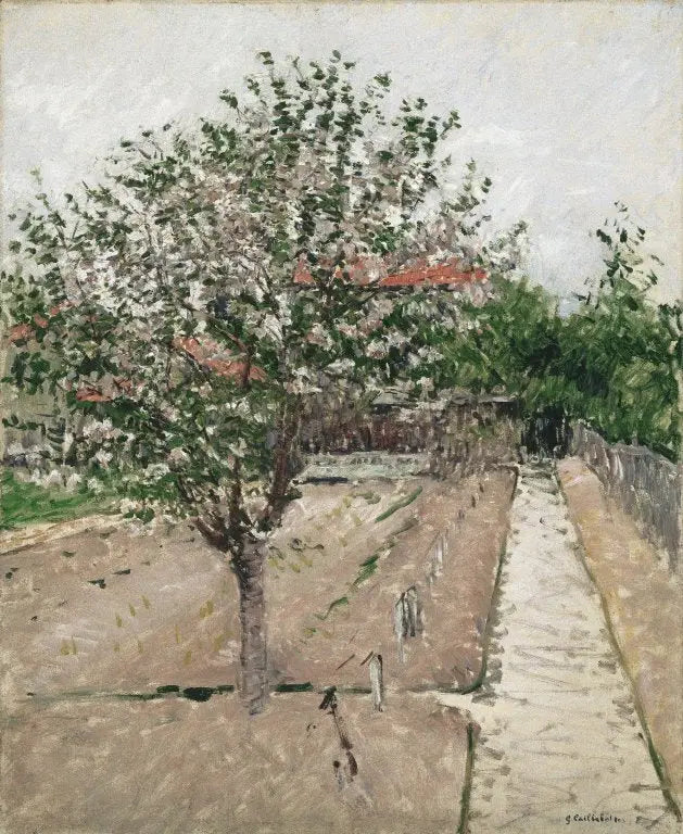 Blomstrende æbletræ - Gustave Caillebotte