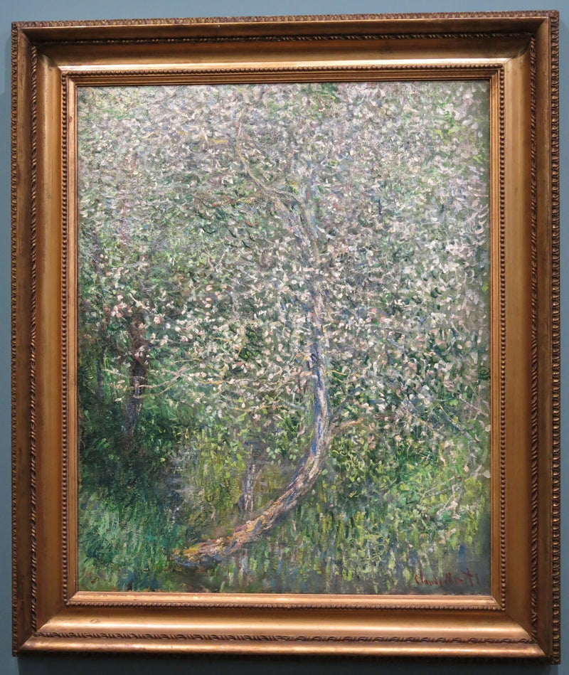 Æbletræ i blomst ved vandet W585 - Claude Monet