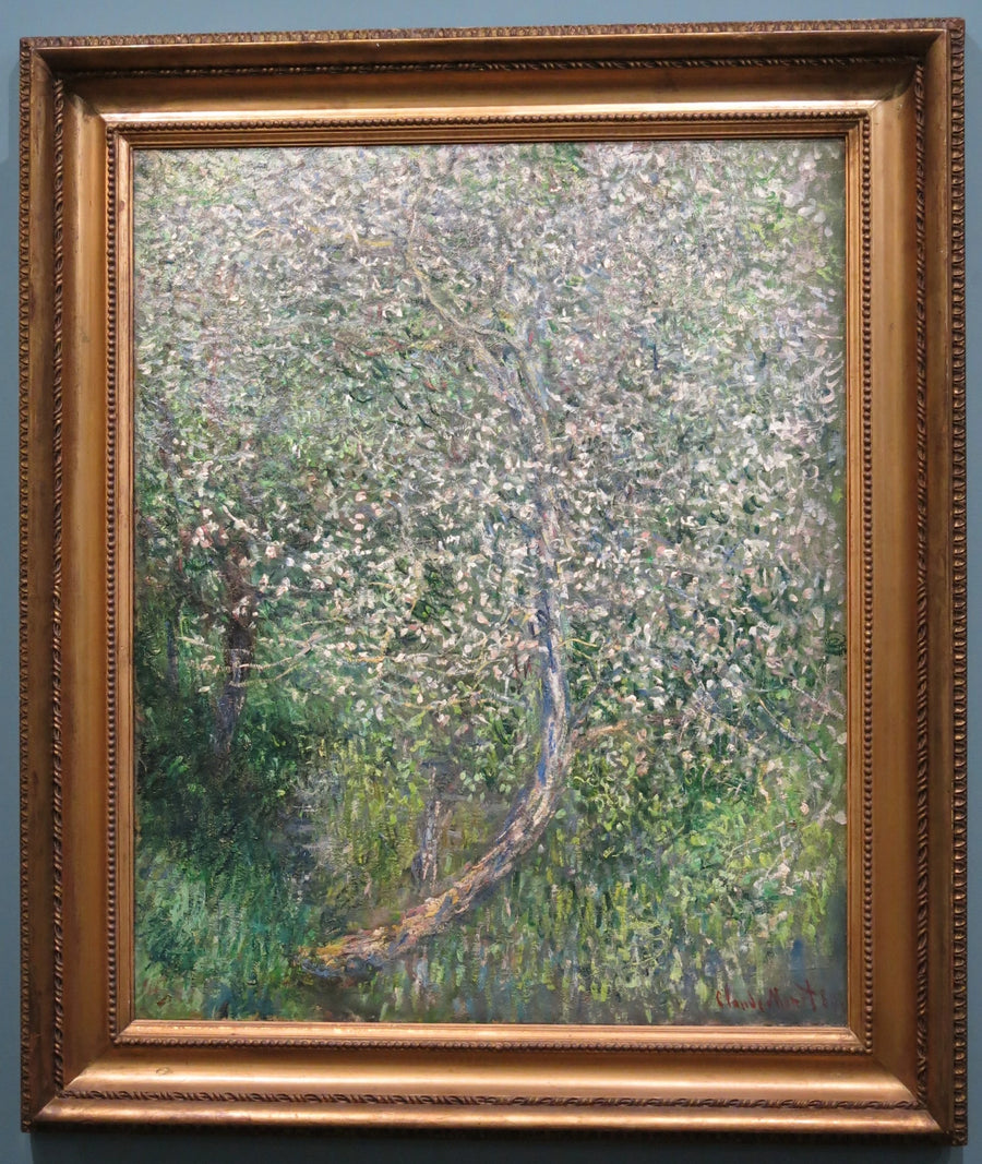 Æbletræ i blomst ved vandet W585 - Claude Monet