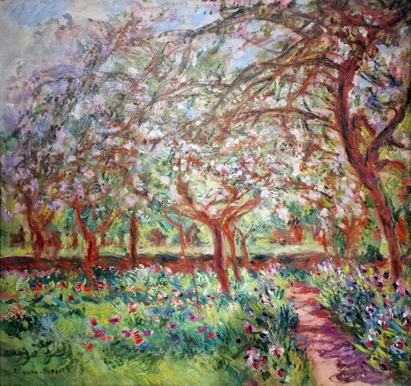 Æbletræer i blomst - Claude Monet
