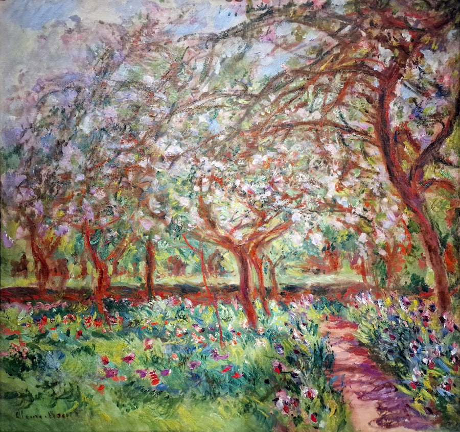 Æbletræer i blomst - Claude Monet