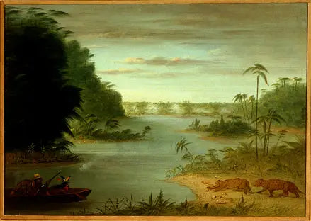 Pont de Palmiers og Tir au Tigre - George Catlin