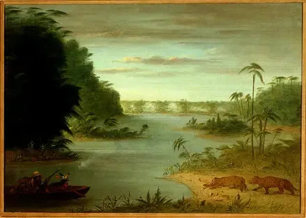 Pont de Palmiers og Tir au Tigre - George Catlin