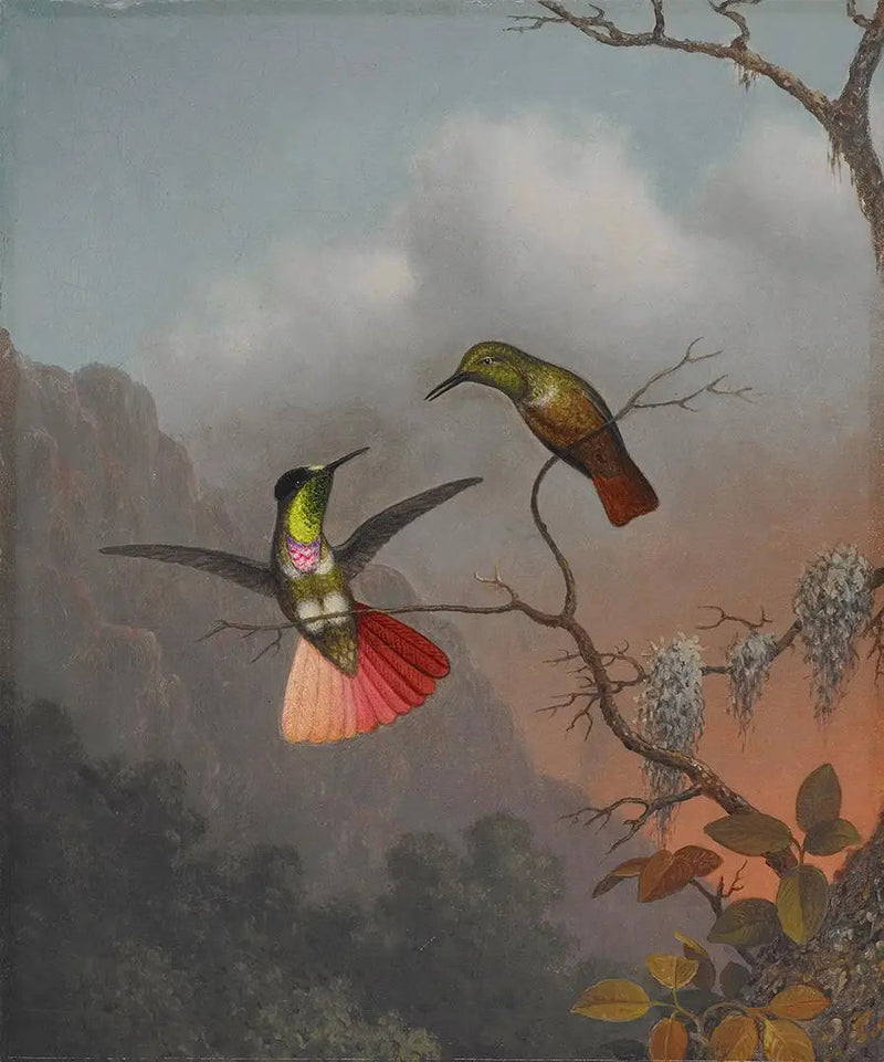 Hjelm med visir og hætte - Martin Johnson Heade