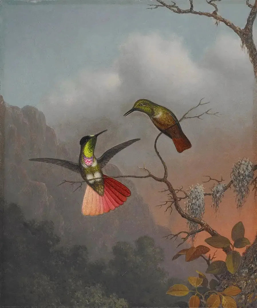 Hjelm med visir og hætte - Martin Johnson Heade