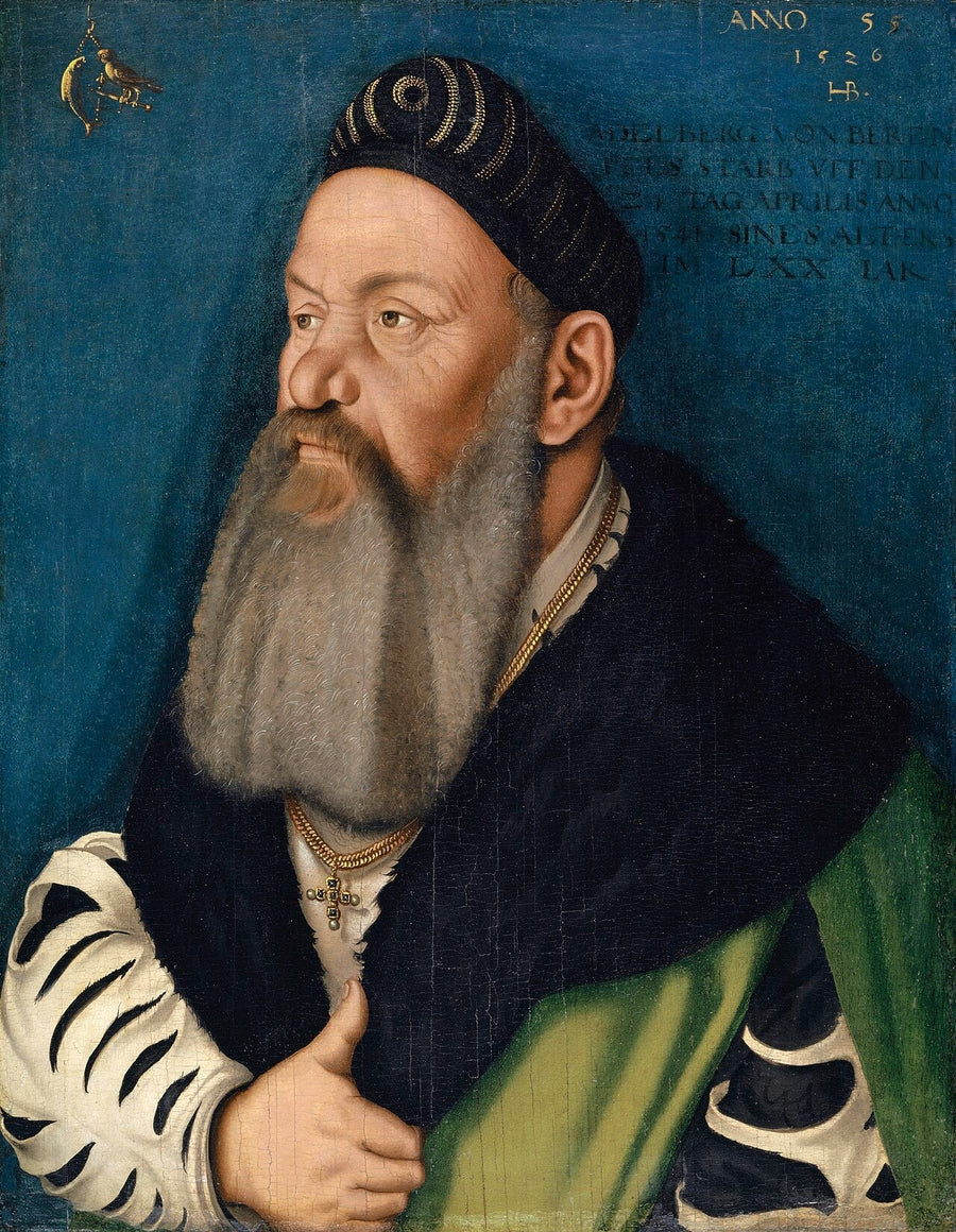 Portræt af Adelberg III. de Bärenfels - Hans Baldung Grien
