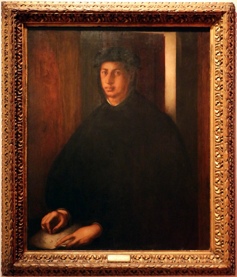 Portræt af Alexandre de Médicis - Pontormo