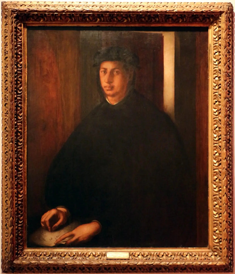 Portræt af Alexandre de Médicis - Pontormo