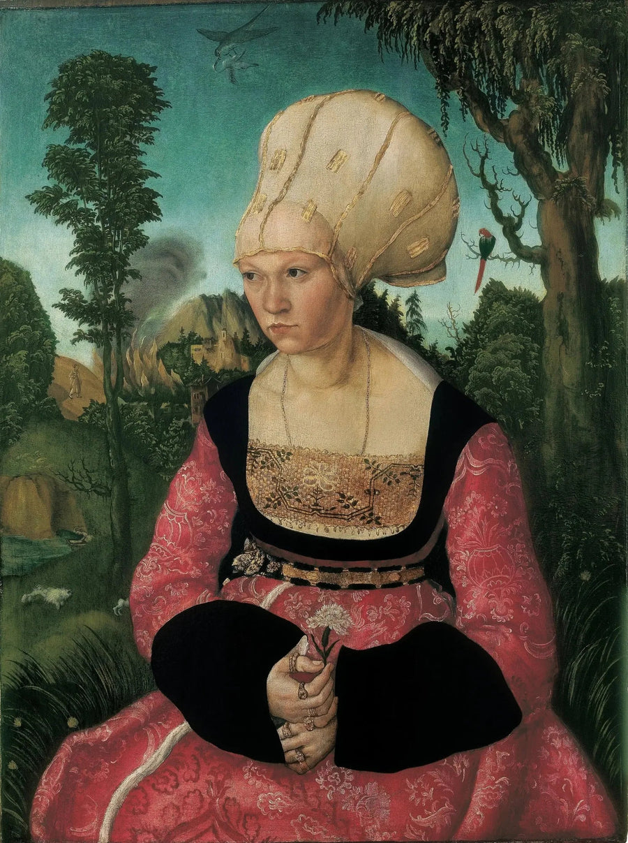 Portræt af Anna Cuspinian - Lucas Cranach den Ældre