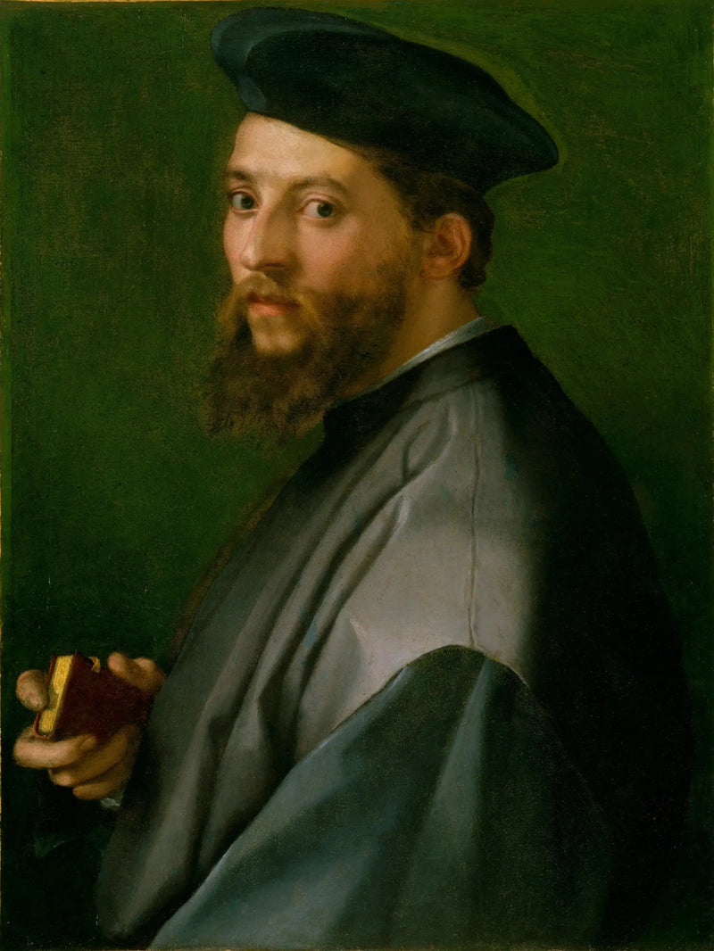 Portræt af mand - Andrea del Sarto
