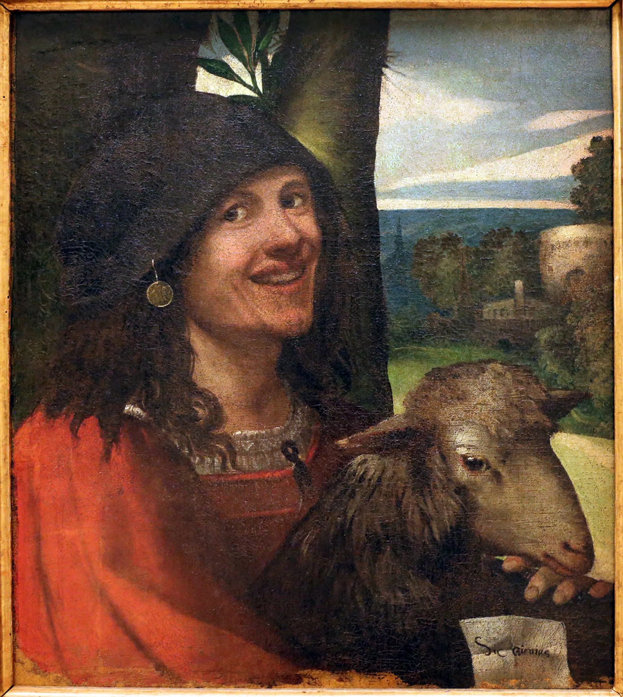 Portrait d'un bouffon de cour - Dosso Dossi