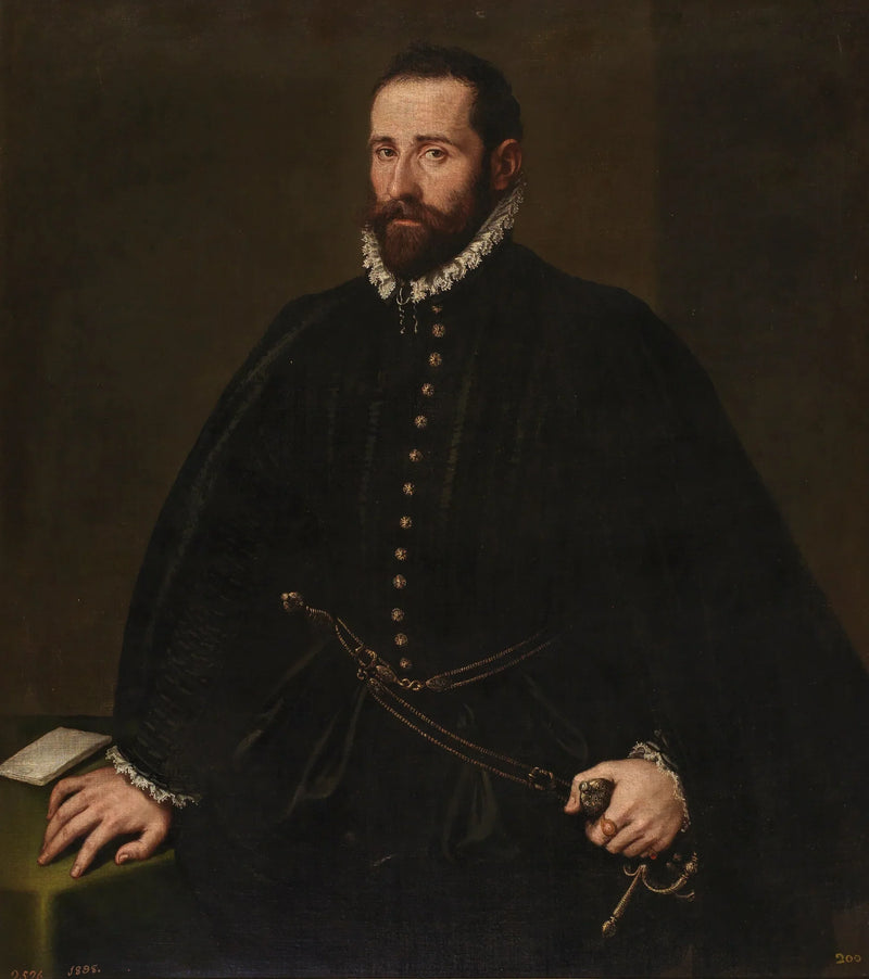Portræt af en gentleman - Jacopo Tintoretto
