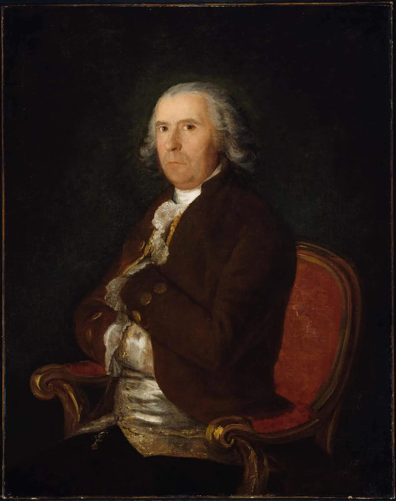 Portræt af en mand i brun frakke - Francisco de Goya
