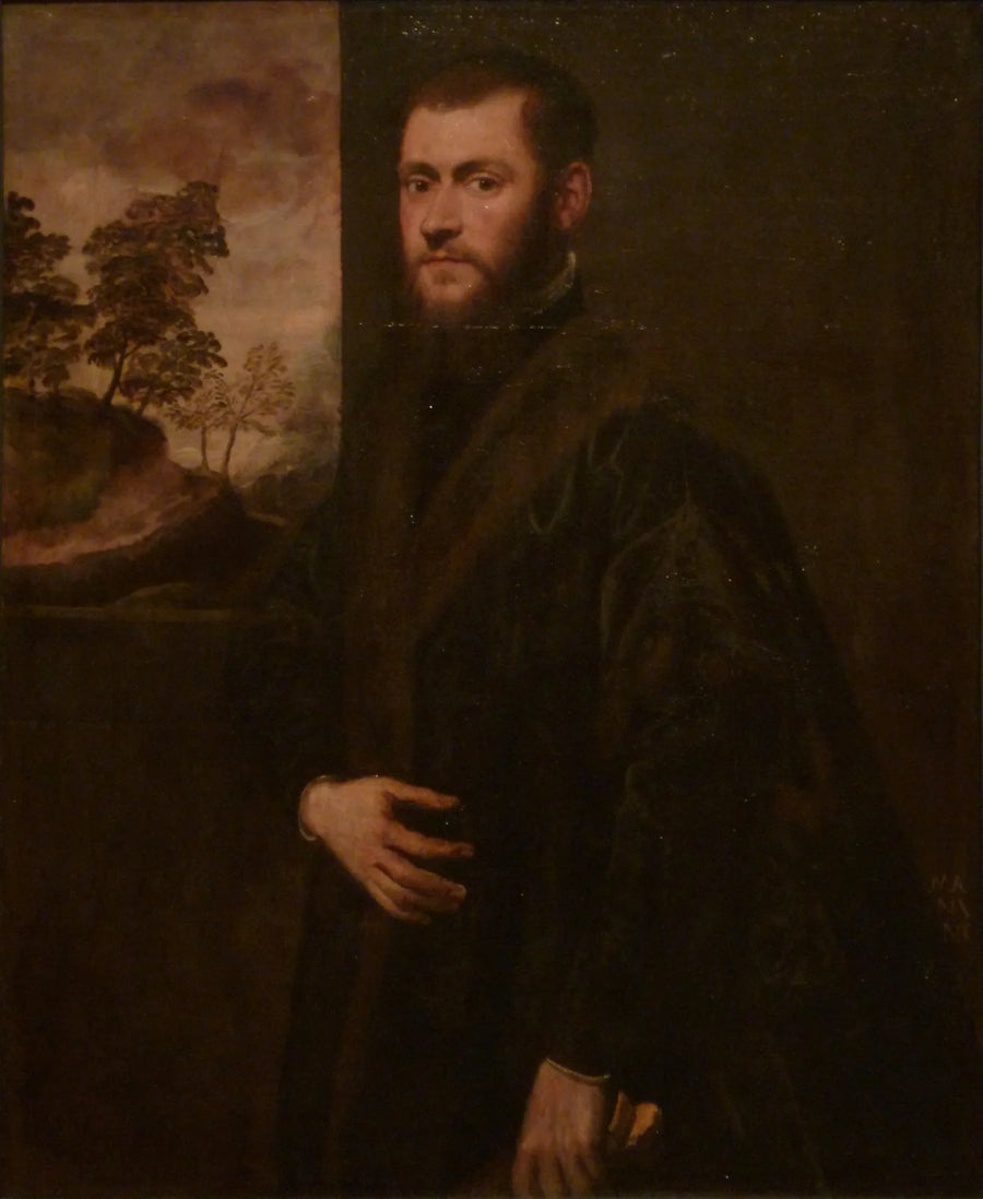 Portræt af en ung gentleman - Jacopo Tintoretto