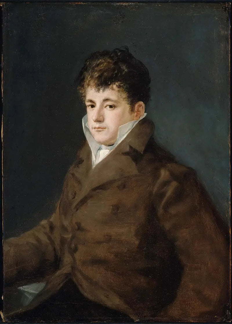 Portræt af en ung mand i brunt, måske Javier Goya - Francisco de Goya