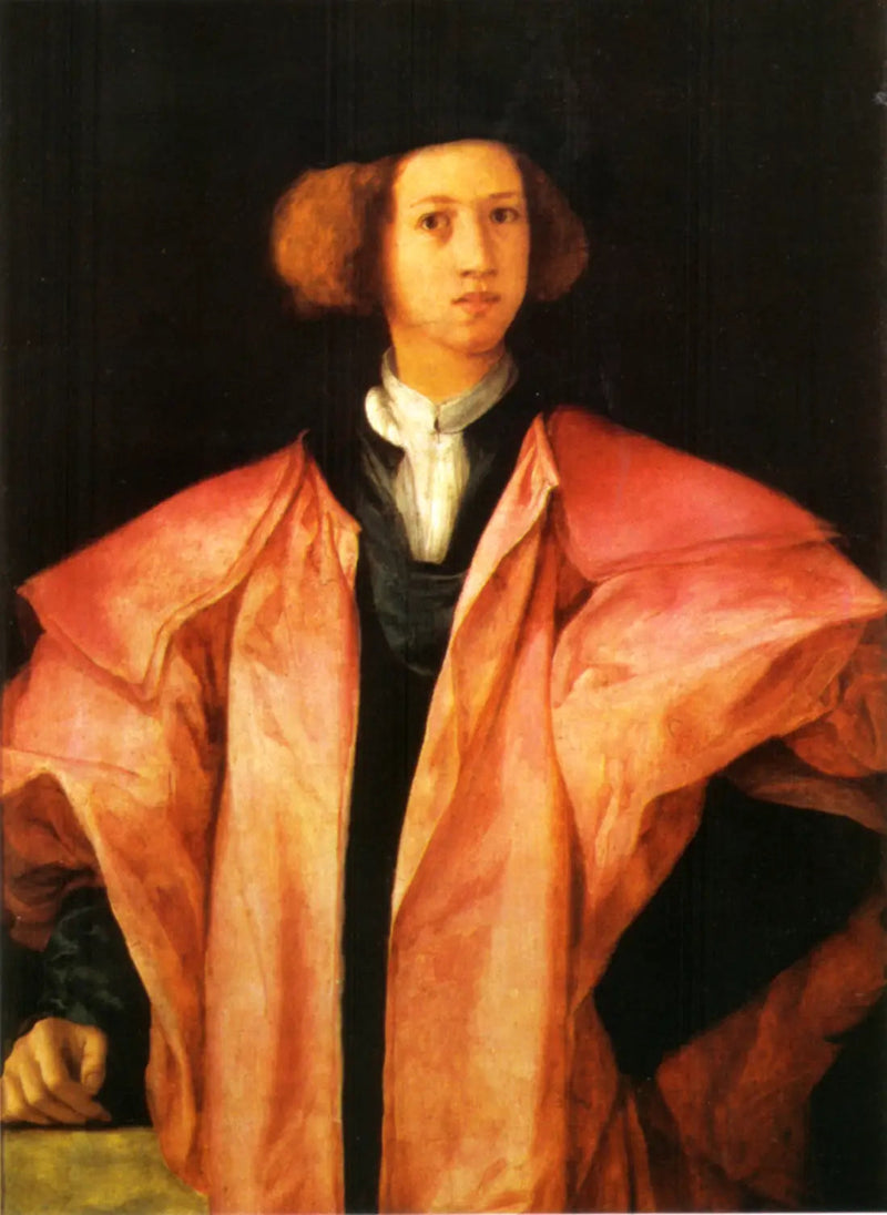 Portræt af en ung mand - Pontormo