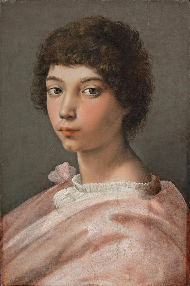 Portræt af en ung mand - Raphael Sanzio