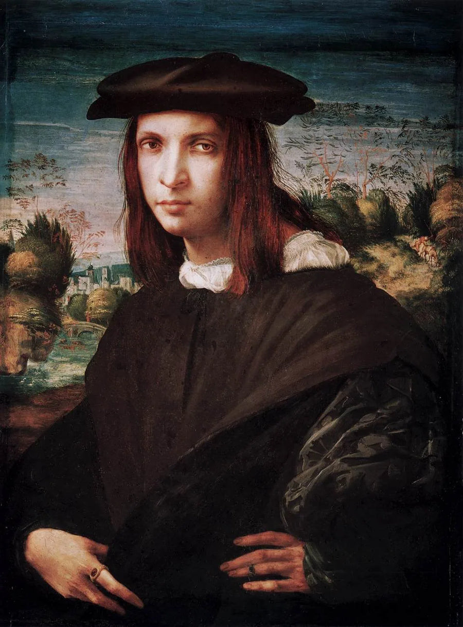 Portræt af en ung mand - Rosso Fiorentino