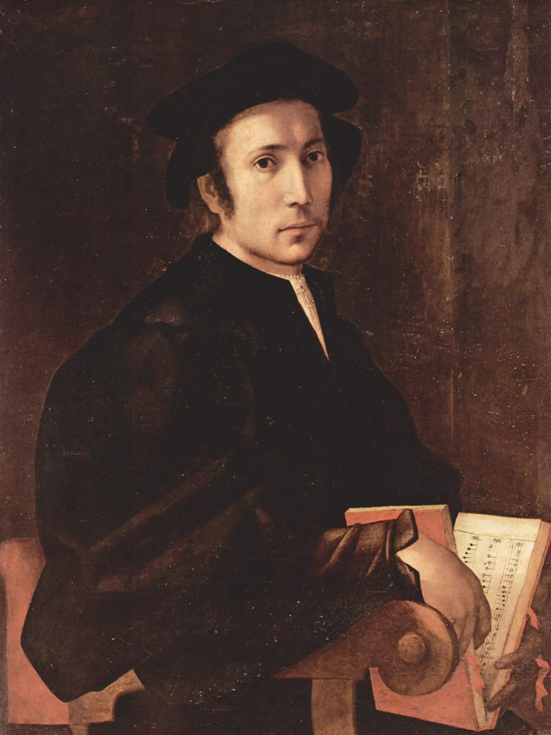 Portræt af en musiker - Pontormo