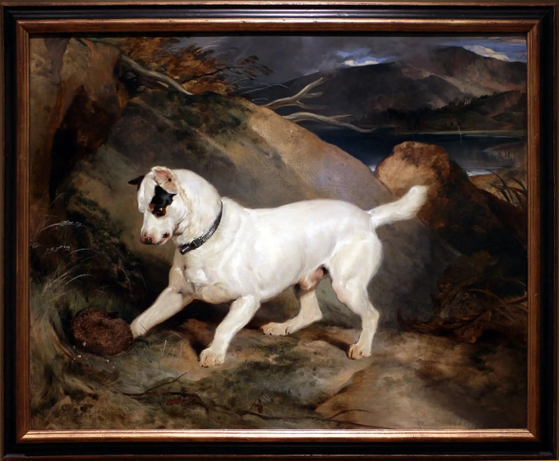 Portrait d'un terrier, propriété d'Owen Williams, ESQ., député (Jocko med en pindsvin) - Edwin Henry Landseer