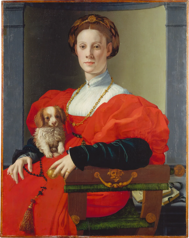 Portræt af en dame med en kæledyrshund - Bronzino