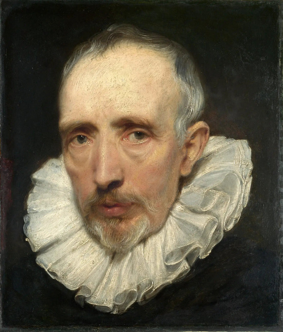 Portræt af Cornelis van der Geest - Antoine van Dyck