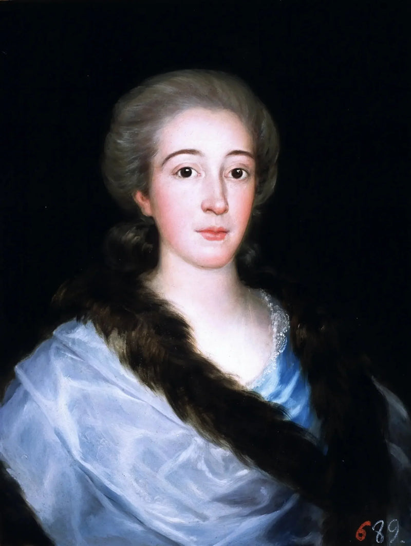 Portræt af Doña María Teresa de Vallabriga y Rozas (1759-1820) - Francisco de Goya