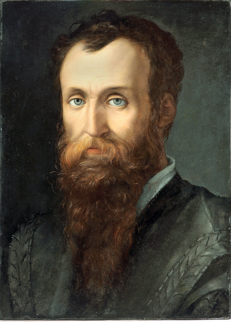 Portræt af Luca Martini - Bronzino