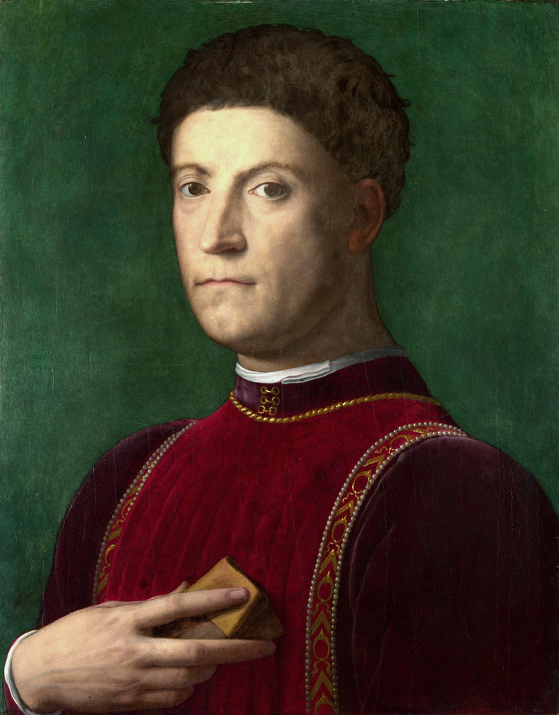 Portræt af Piero de' Medici - Bronzino