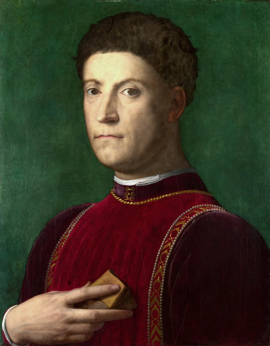 Portræt af Piero de' Medici - Bronzino
