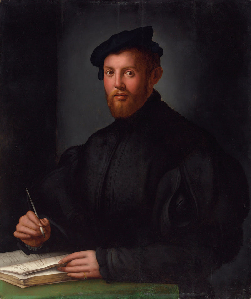 Portræt af en ung mand i sort med en bog - Bronzino