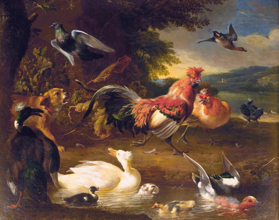 Høner og ænder - Melchior de Hondecoeter