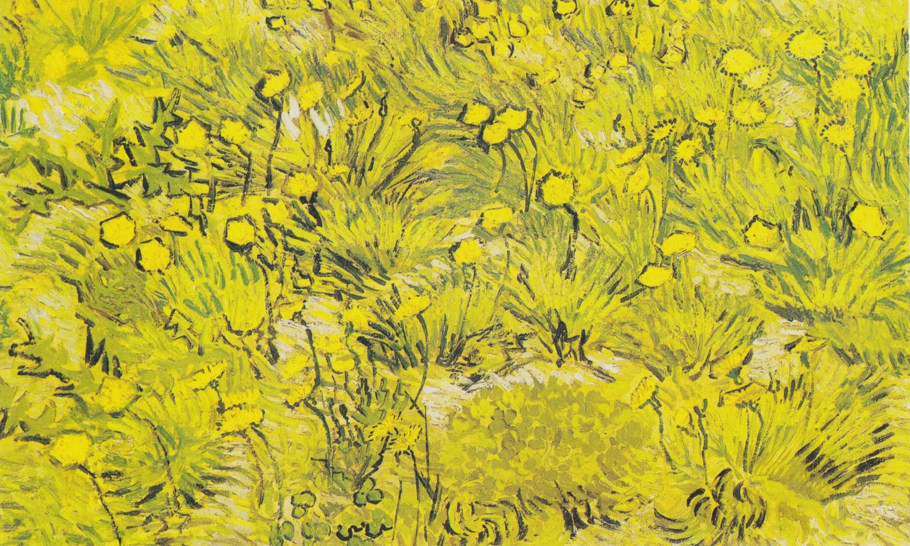Prairie aux fleurs jaunes - Vincent van Gogh image 1 reproduction d’œuvre d’art à l’huile