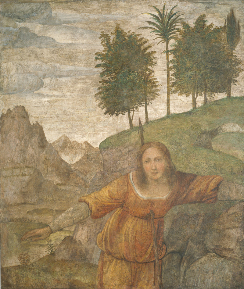 Procris ramt af Céphalés spyd - Bernardino Luini